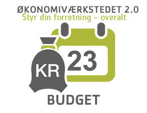Økonomiværkstedet 2.0: Planlægning og budgettering